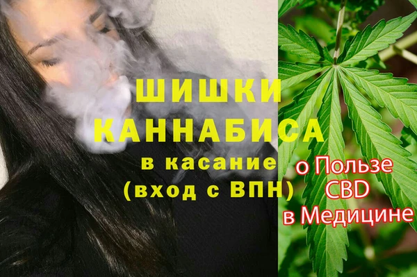 COCAINE Каменка