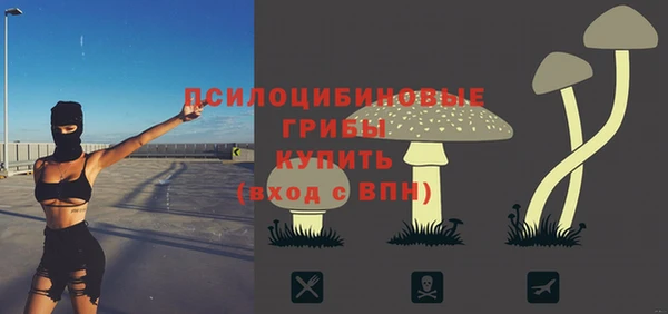 COCAINE Каменка