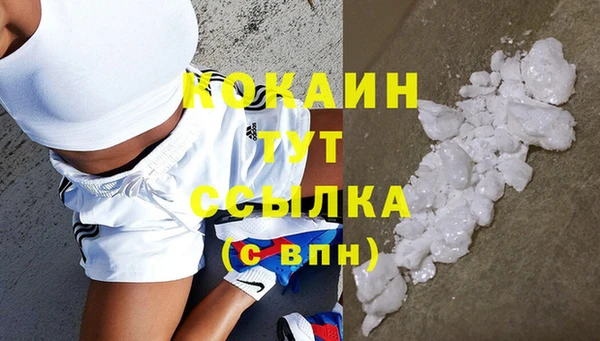 молекула духа Каменногорск
