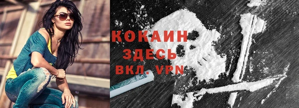 молекула духа Каменногорск