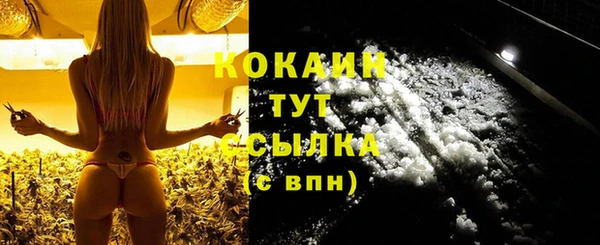COCAINE Каменка