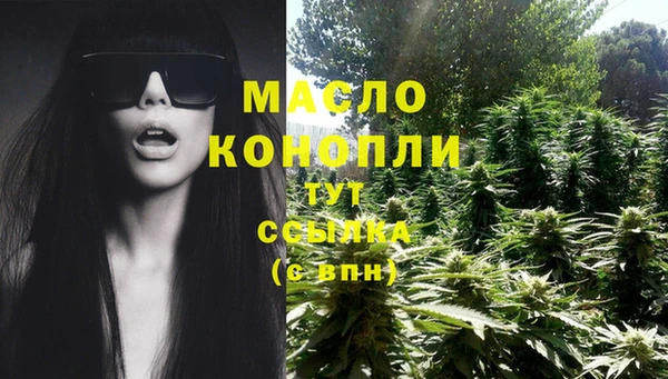 молекула духа Каменногорск
