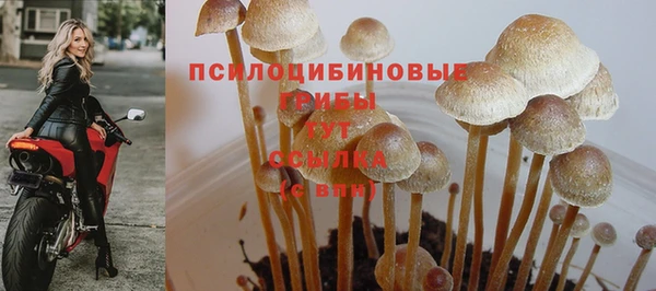 мяу мяу кристалл Каменск-Шахтинский