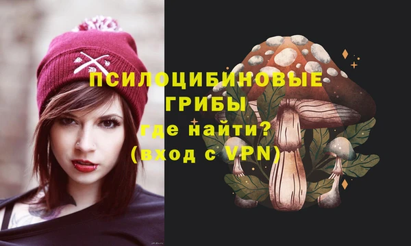 молекула духа Каменногорск